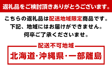 蔵出しみかん10kg　S・M・Lサイズお任せ　和歌山県より農園直送 