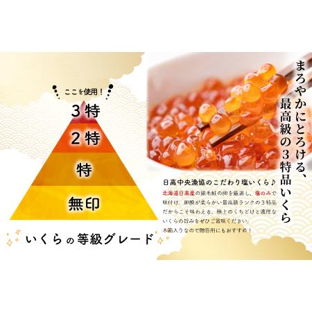 ふるさと納税 銀聖いくら醤油漬(500g)と塩いくら(500g)セット[02-046] 北海道浦河町