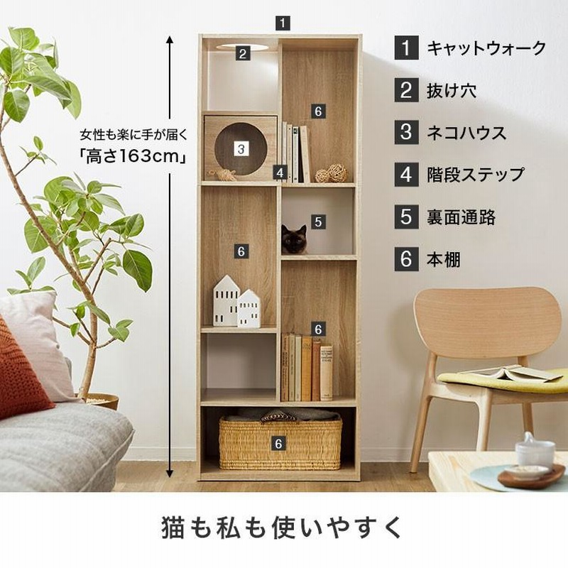 キャットタワー キャットウォーク 猫家具 本棚 収納 おしゃれ 60