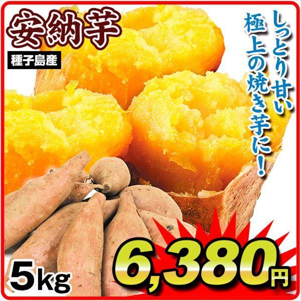 少し訳あり安納紅2S～Lサイズ混合5kg - 野菜