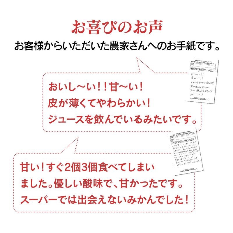 早熟温州みかん 3kg  30玉前後 送料無料 熊本 国産 極早生 ミカン 極早生 フルーツ 果物