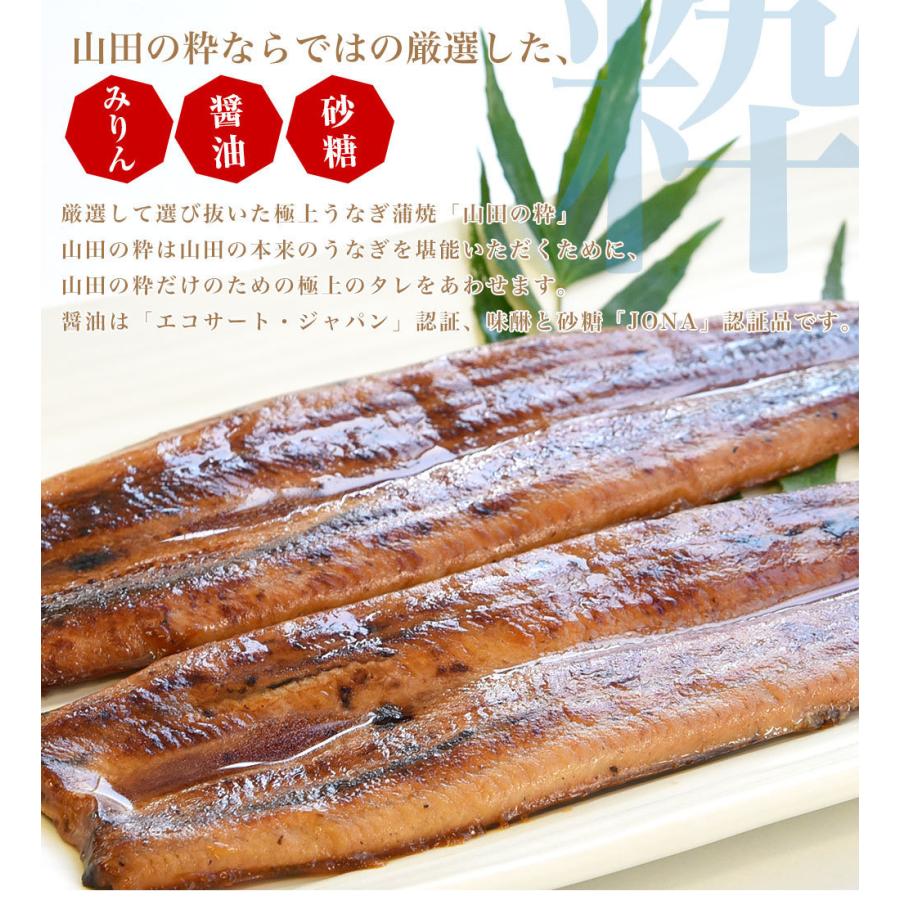 鹿児島県産 山田水産の極上国産うなぎ蒲焼「山田の粋（やまだのいき）」長焼（120g×4尾）送料無料 鰻蒲焼 ウナギ ※クール冷凍便