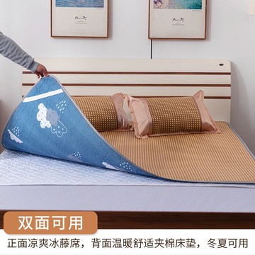 榻榻米墊子地鋪睡墊榻榻米軟墊加厚床墊席子冬夏兩用涼蓆學生宿舍單人夏季家用草蓆摺疊藤席雙面正反床墊