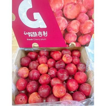 智利 櫻桃李 一公斤 袋裝｜智利進口水果