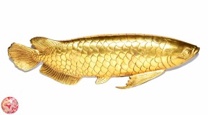 招き入れ大の金竜魚の置物.