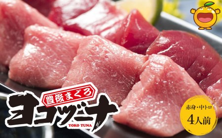 豊後まぐろ ヨコヅーナ 赤身400ｇ 中トロ400g 鮪 マグロ 海鮮丼 刺し身 盛り合わせ 冷凍 魚の刺身 大分県産 九州産 津久見市 国産