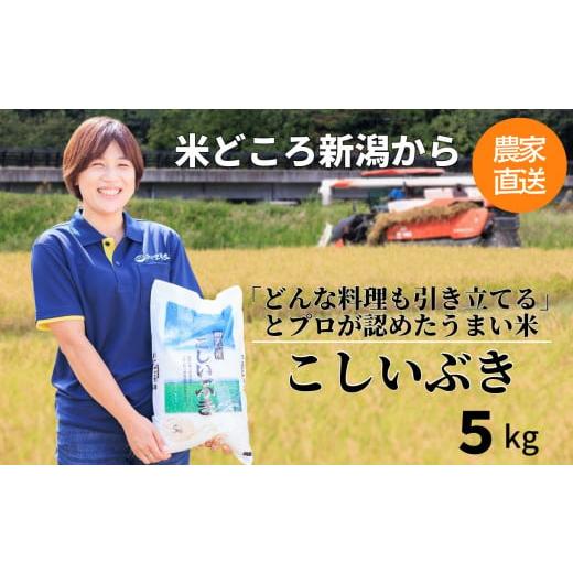 ふるさと納税 新潟県 糸魚川市 プロが認めたうまい米『こしいぶき』5kg 新潟県糸魚川産 農家直送 おいしいお米をお届けします