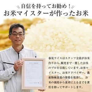 ふるさと納税 美濃加茂のお米定期便12回セット（5kg×12回） ハツシモ 春見ライス 米 コメ M82S01 岐阜県美濃加茂市