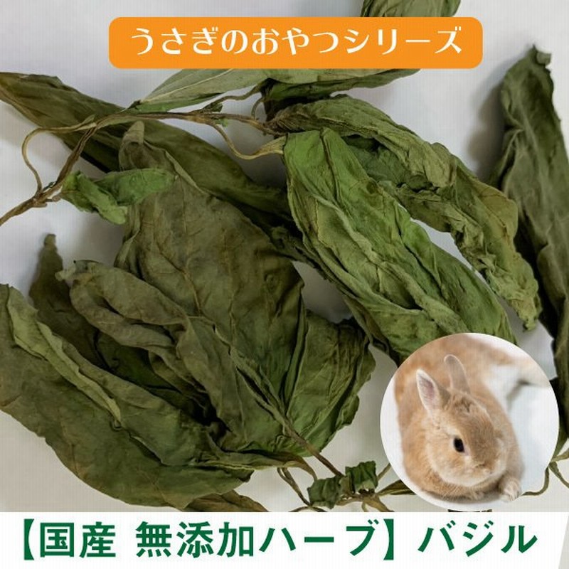 うさぎのおやつ 国産ハーブ 無添加 バジル 2g ハーブ バジル 無着色 ドライハーブ うさぎ 草食 Dbp 通販 Lineポイント最大get Lineショッピング