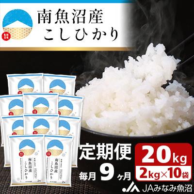 ふるさと納税 南魚沼市 南魚沼産こしひかり 精米 20kg(2kg×10袋)全9回