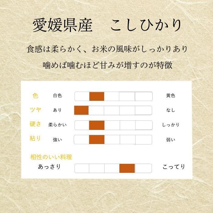 こしひかり 20kg 5kg×4 令和4年産 愛媛県産 米 お米 白米 おこめ 精米 単一原料米 ブランド米 20キロ 送料無料 国内産 国産