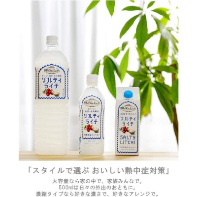 1ケース キリン 世界のKitchenから ソルティライチ 500ml PET 飲み物 ソフトドリンク ペットボトル 24本×1ケース 買い回り  買い周り 買いまわり ポイント消化 | LINEブランドカタログ