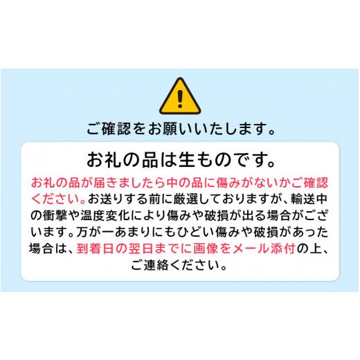 ふるさと納税 福井県 越前町 [e26-a001] 期間限定！季節の野菜・加工品 7〜10種以上 詰合せ「おもいでな野菜セット」【人気 おまかせ 詰め合わせ 季節 旬 新鮮…