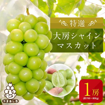 ふるさと納税 山梨市 特選大房シャインマスカット1房(約700〜800g) ふるさと納税