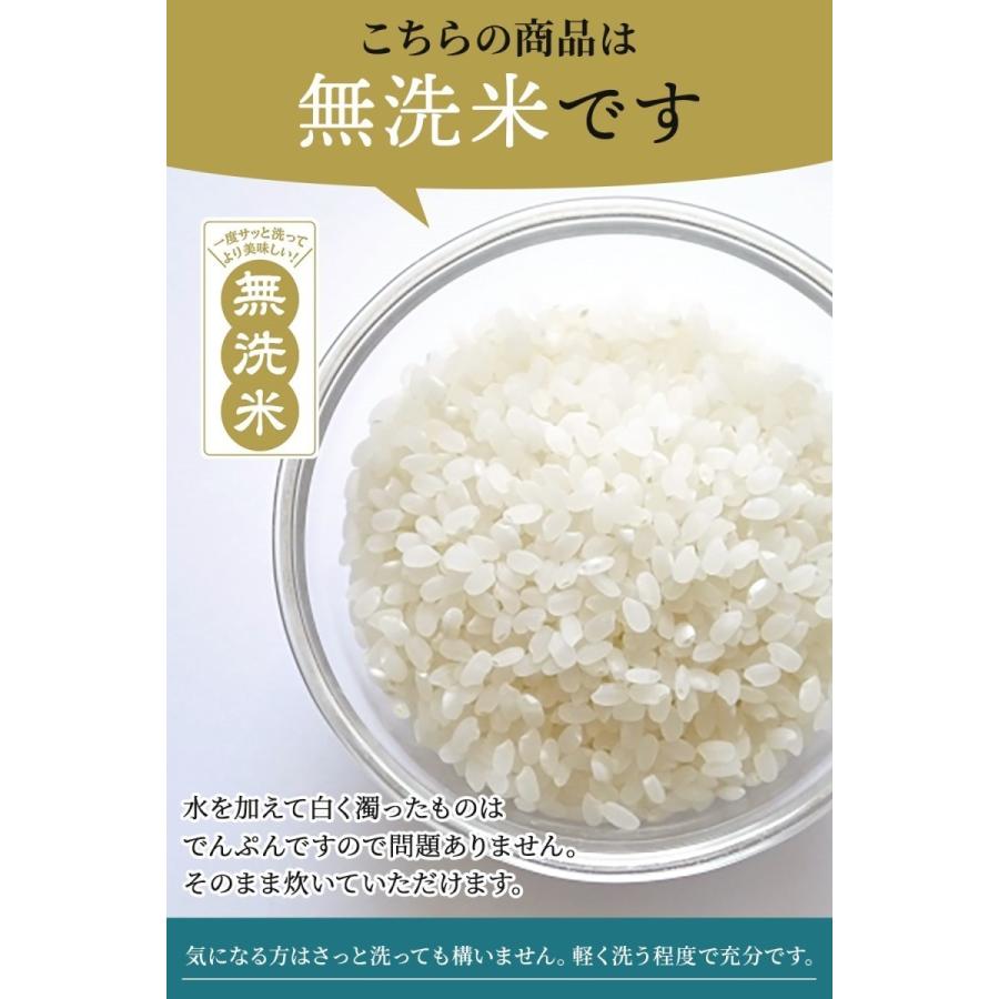 新米 令和5年産 無洗米 30kg 新鮮密封パック 送料無料 米 お米 コシヒカリ こしひかり 特別栽培米 野沢農産 長野県産 北信産 精米 5kg ×6袋 ブナの水