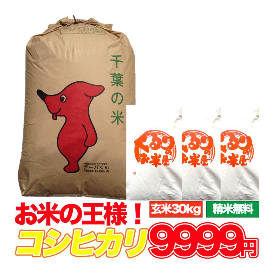 新米 令和5年産 米 30kg お米 コシヒカリ 玄米食でも安心の選別済 玄米 白米 精米 コメ 千葉県産 精米無料 送料無料