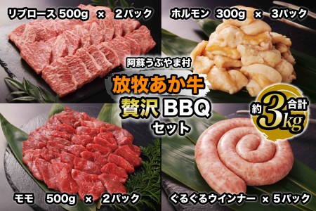 阿蘇うぶやま村の放牧あか牛BBQセット