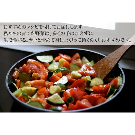 ふるさと納税 いそベジ農場の季節の野菜詰め合わせセット　定期便　２回便〔IV-02〕 長野県佐久穂町