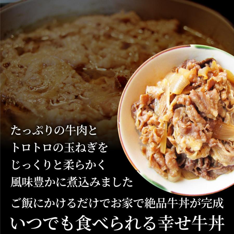 牛丼 牛丼の具 10個セット お肉屋さんのこだわり たっぷり牛肉の簡単牛丼 1食120g