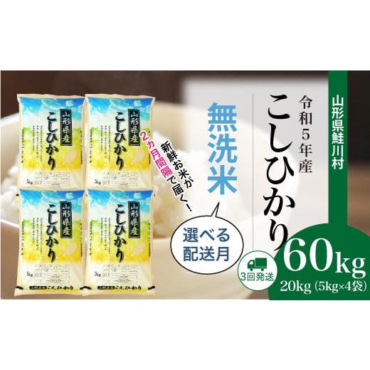 ふるさと納税 山形県 鮭川村 令和5年産　鮭川村　コシヒカリ60kg定期便（20kg×3回発送）