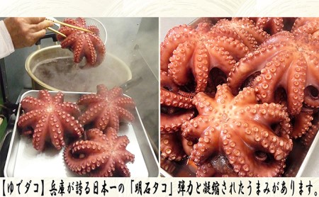 明石ダコのゆでダコ 切り身　500g