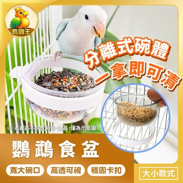 【鳥國王】小寵食盆 壓克力食盆 透明飼料碗 掛籠飼料碗 鳥用食盆 鳥用水碗 鳥碗 鳥食盆 鸚鵡水果碗 分離式食盆 鳥用品