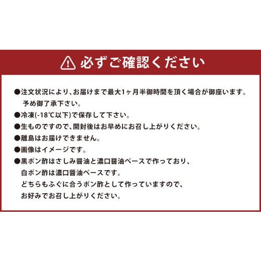 ふるさと納税 熊本県 上天草市  吉宝ふぐコース(40cm赤絵皿全盛り・7〜8人前)