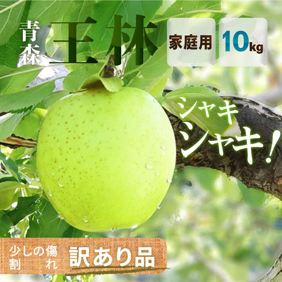 りんご 王林 10kg （約24玉〜50玉入り）2023年産 青森県産りんご ご家庭用 訳あり 産地直送 工藤農園