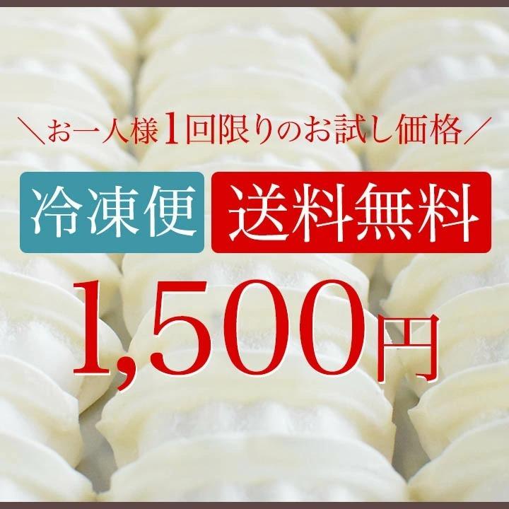 お一人様1回限り お試し！ 鶏しそ餃子 30個入り(30個入り×1袋) 冷凍餃子 餃子 送料無料 お試し 生餃子 冷凍生餃子 食品 惣菜 中華 鶏肉