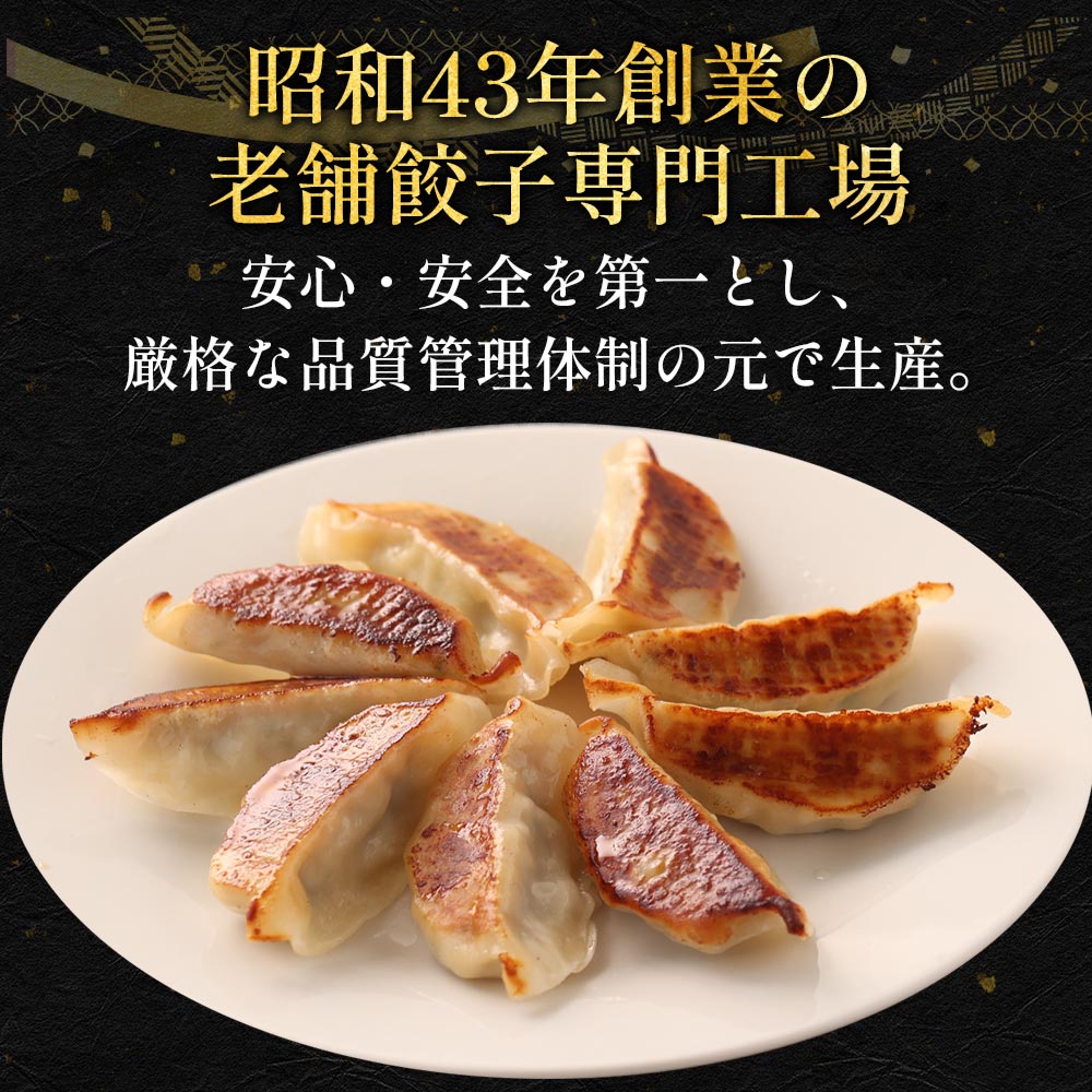 (メーカー希望小売価格2500円→2190円) 松軒中華食堂「餃子」5個×5パック 送料無料 レンジで完成 餃子 ぎょうざ ギョウザ 調理済 時短 保存食 お取り寄せ