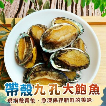 【歐嘉嚴選】生凍帶殼九孔大鮑魚2包組 -10顆/包