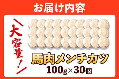 馬肉メンチカツ 100g×30個 計3kg 千興ファーム 馬肉 冷凍 《60日以内に順次出荷(土日祝除く)》ジューシー　揚げ物 肉 熊本県御船町 馬肉 惣菜 お弁当