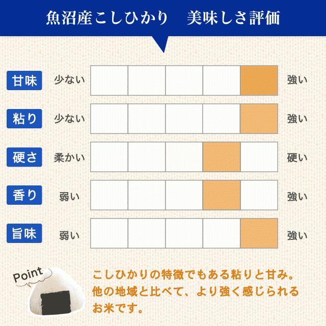 令和5年度産 新米 魚沼産 こしひかり 10kg 送料無料 新潟県 お米 10キロ