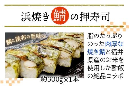 ふるさと福井の味自慢 浜焼き鯖の押寿司1本 と 穴子の棒寿司2本の 3本セット  [A-8402]