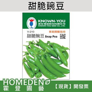 【隔日到貨】甜脆豌豆 V-210 蔬果種子 農友牌 小包裝種子 約20粒/包【HOMEDEN霍登園藝】