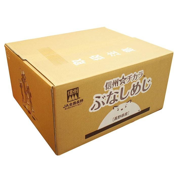 長野県産　ぶなしめじ　100g×50パック（箱）