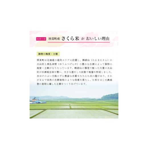 ふるさと納税 北海道 厚真町 《令和5年度産 新米》北海道厚真町限定生産ブランド米　さくら米（ななつぼし）3か月　毎月5kgコース