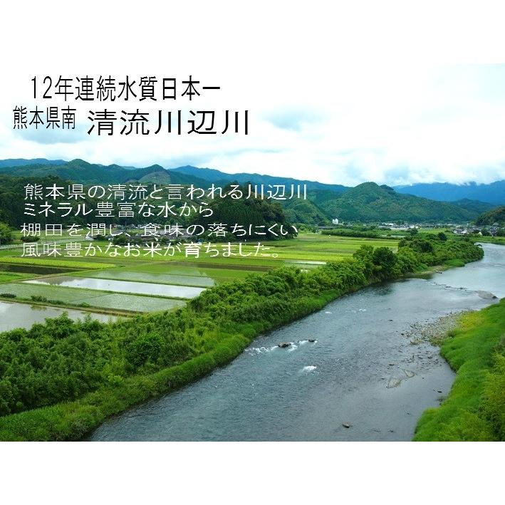 令和5年産新米ヒノヒカリ 10kg 熊本県産 　精白米