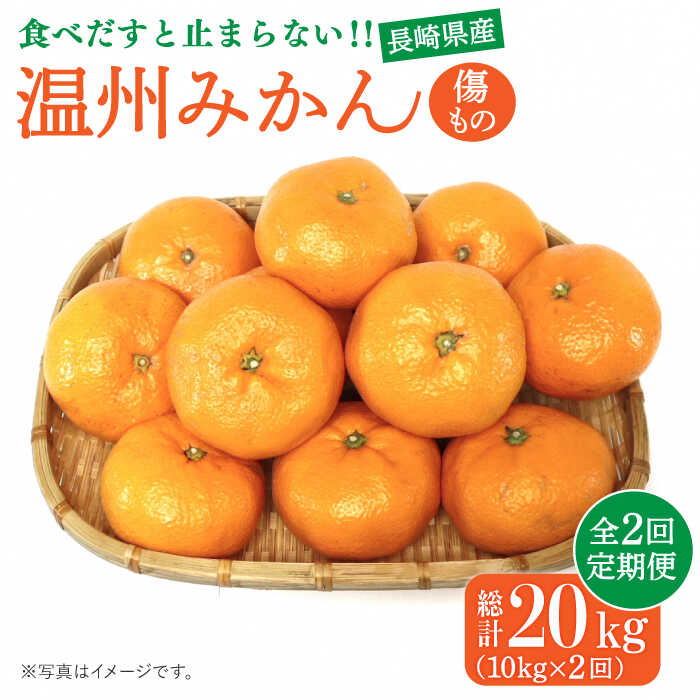 高糖度温州みかん約10kg（傷もの） （計約20kg）   みかん 南島原市   南島原果物屋 [SCV016]