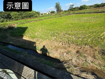 164大園近交流道和平西路旁美農地｜桃園市大園區溪海段
