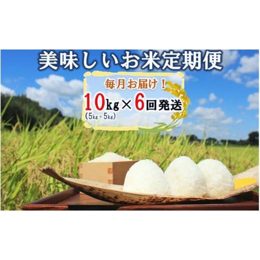 ふるさと納税 大分県 国東市 毎月お届け!JAの美味しいお米毎月定期便 10kg（5kg 5kg）×計6回発送_2156R