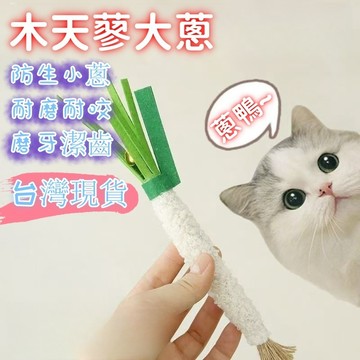 💥現貨速出💥木天蓼小蔥 木天蓼蔥 貓咪玩具 貓玩具 貓咪木天蓼 木天蓼啃咬棒 貓咪啃咬棒 蔥造型啃咬棒 木天蓼 G6TP
