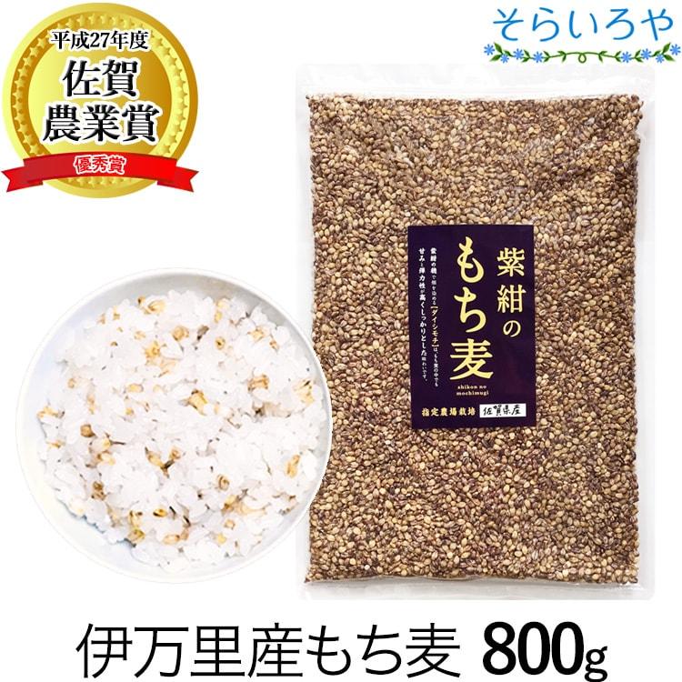 もち麦 佐賀県産 紫紺のもち麦 800g 令和4年産 紫もち麦 国産ダイシモチ100% 無添加 ダイエット