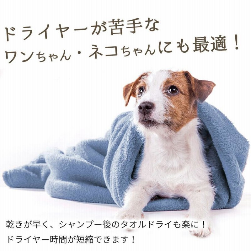 SALE／86%OFF】ドライヤー タオル 業務用ペットドライヤー 黒 大風量