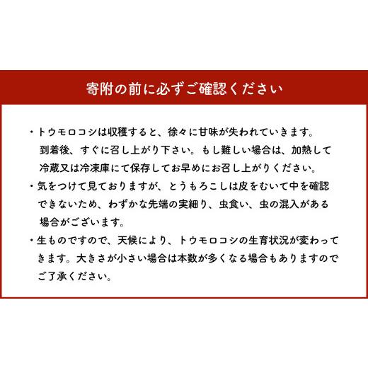 ふるさと納税 福岡県 大刀洗町 福岡県産 SDGs米糠堆肥で作ったメロンより甘い「博多あまっコーン(おおもの)」4.5kg以上