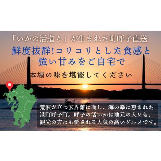 ふるさと納税 佐賀県 唐津市 『予約受付』呼子のいか活造り1杯! コリコリ甘い鮮度抜群の透明感! 約200g 刺身 ギフト 冷凍 ※水揚げあり次第5月以降順次発送さ…