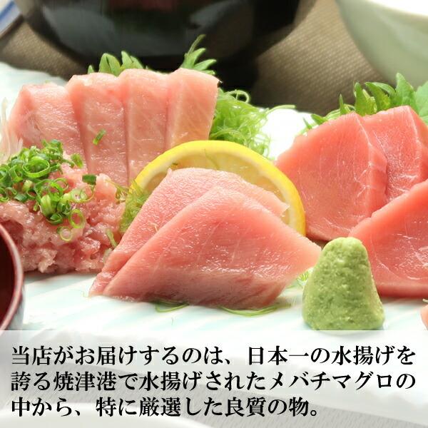 送料無料　メバチマグロ中とろ 6人前 お歳暮  年末年始 冬ギフト 贈答用 海鮮 ごちそう グルメ