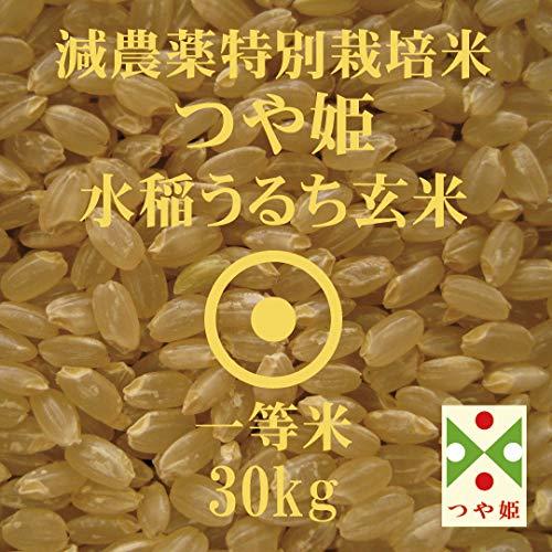 特別栽培米 山形県産 つや姫 玄米 30kg 減農薬 特A 令和４年産