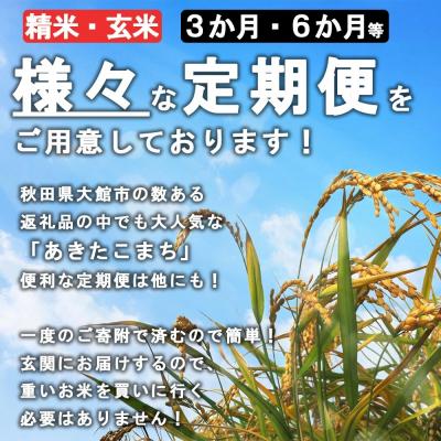 ふるさと納税 大館市 秋田県特別栽培米あきたこまち「まごころ米」10kg