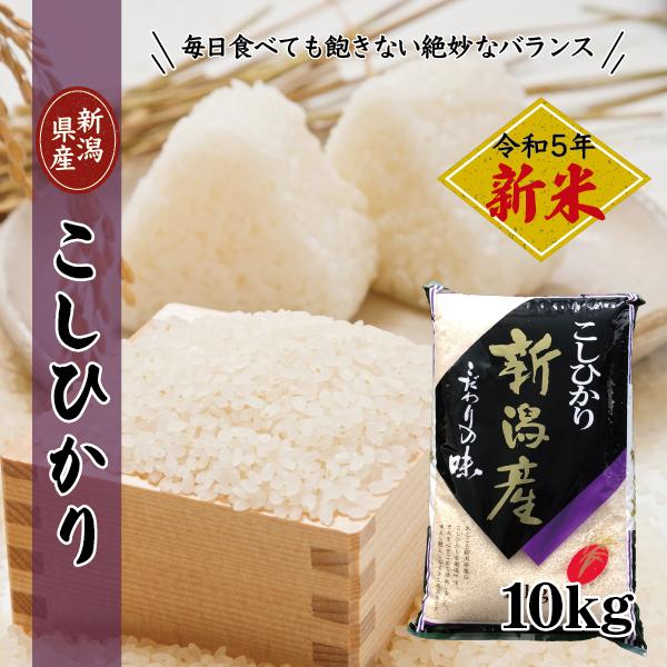 新米 令和5年産米 10kg コシヒカリ 新潟 送料無料 あすつく 美味しい お米  新潟県産 こしひかり 産直 白米 おいしい お米